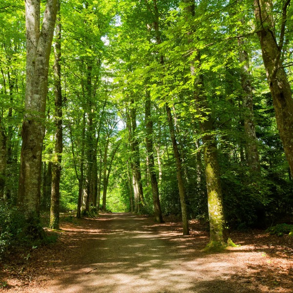 个人与生涯教练