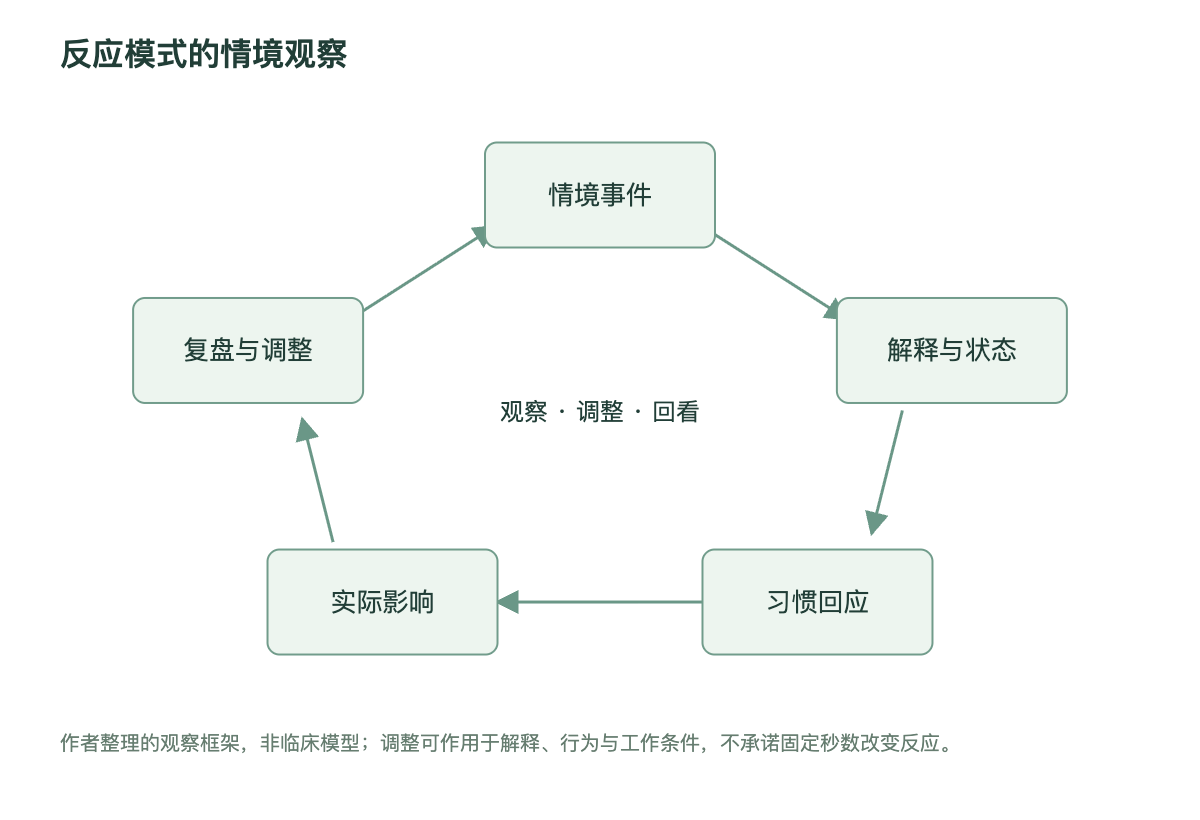 反应模式的情境观察