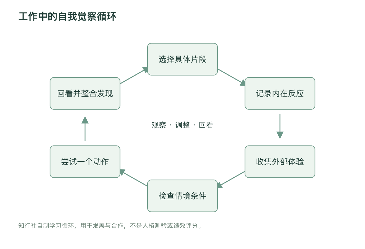工作中的自我觉察循环