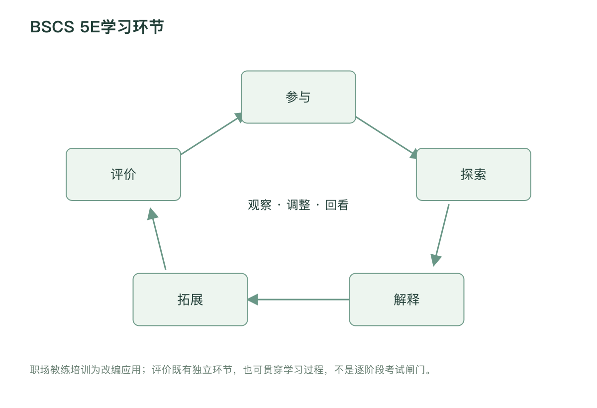 BSCS 5E学习环节