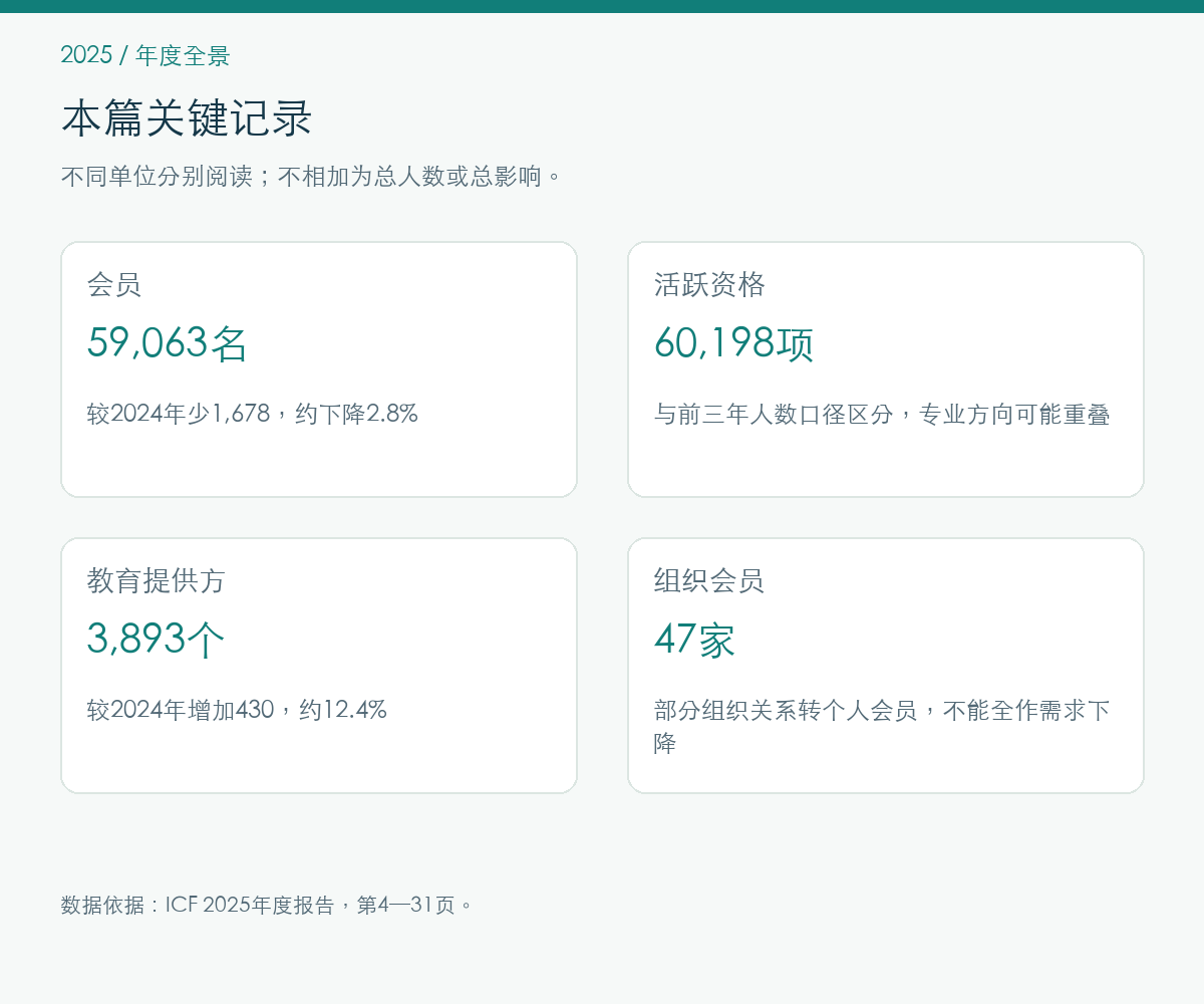 2025年年度全景的报告记录