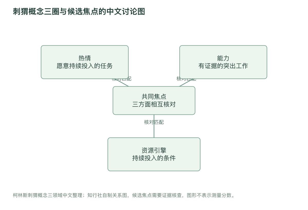 刺猬概念三圈与候选焦点的中文讨论图