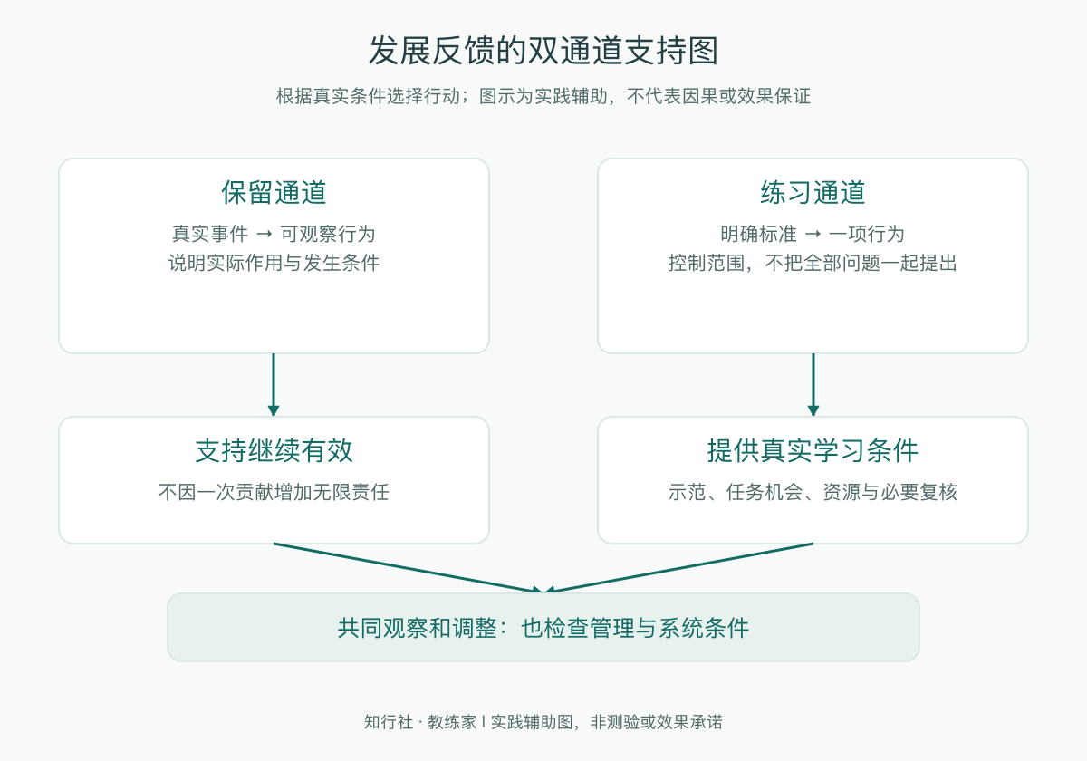 发展反馈的双通道支持图