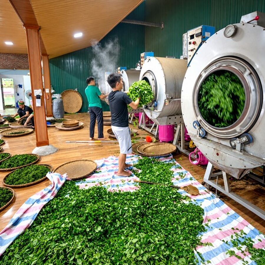 方针管理不是目标下压：用双向接球连接战略与现场
