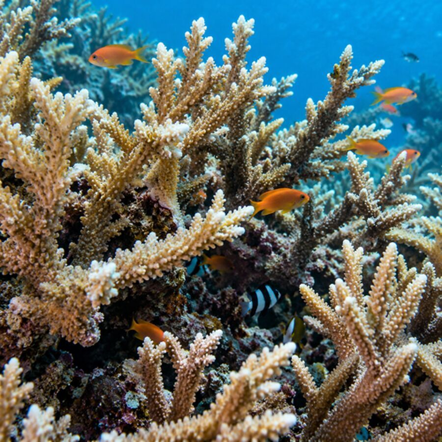 加了微信以后，信任怎么继续？把私域拆成四个真正需要做好的环节