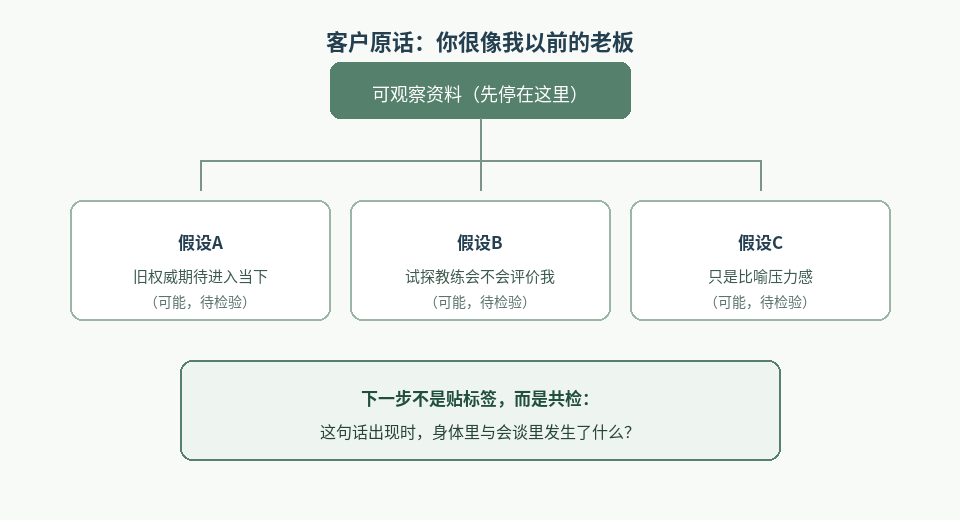 图1：先停在可观察资料，再并列假设。箭头表示可能路径，不等于
