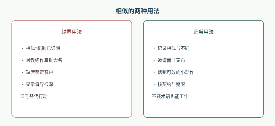 图2：相似可启发自我调整；当作机制证明或揭穿工具时则越界。