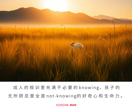 享受not-knowing中的惊喜（原文插图）