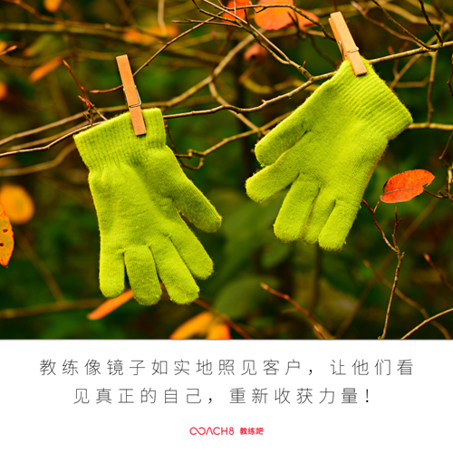 在生活中应用教练——相信客户本自具足(原文插图)
