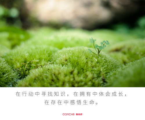 道家智慧与逻辑层次的融合——与大殷教练对话有感（原文插图）