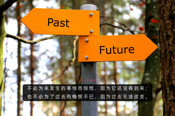 《人生由我》|70+梅耶·马斯克的那句“为什么不?”,治愈我的35+焦虑(原文插图)