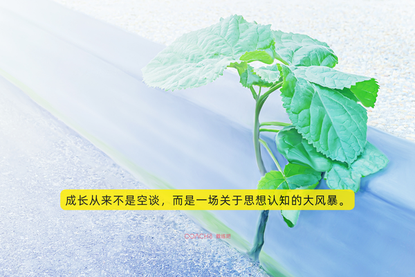 《人生由我》|70+梅耶·马斯克的那句“为什么不?”,治愈我的35+焦虑(原文插图)