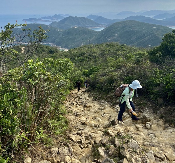 带上你的登山杖,去山林里走走吧(原文插图)