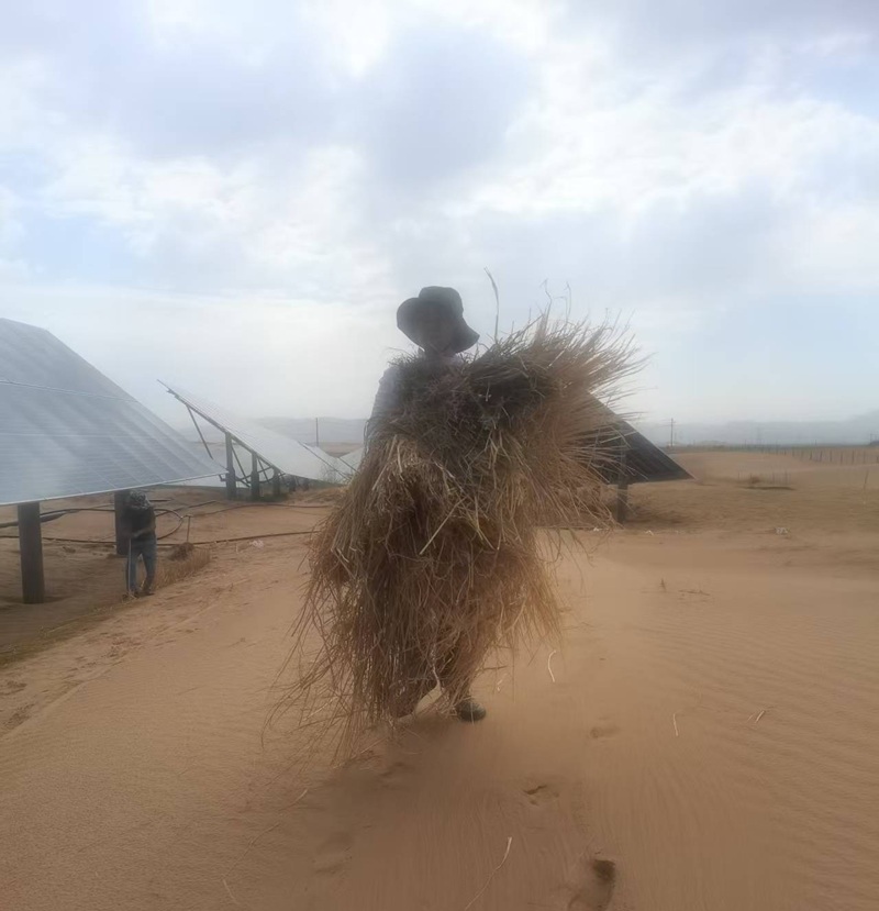 乌兰布和治沙，复盘一场最落地的教练修行（原文插图）