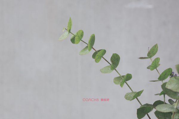 写给今年的八月(原文插图)