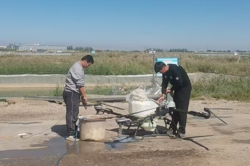 纸上得来终觉浅:当教练理论掉进盐碱蟹塘的现实现场(原文插图)