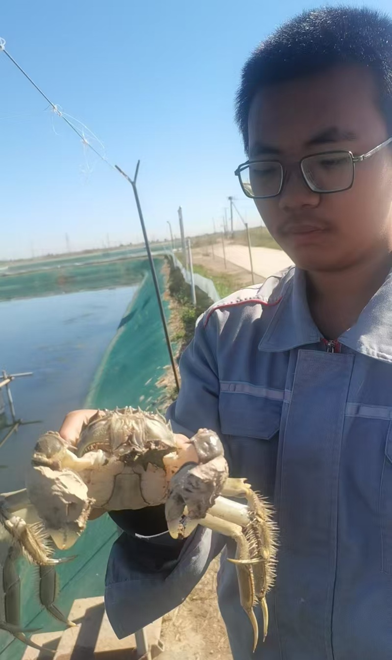 纸上得来终觉浅：当教练理论掉进盐碱蟹塘的现实现场（原文插图）