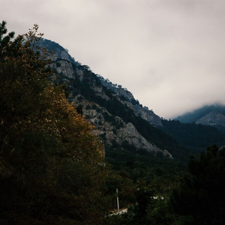 云雾山景